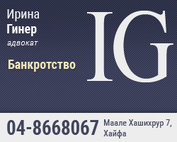 Адвокат Ирина Гинер